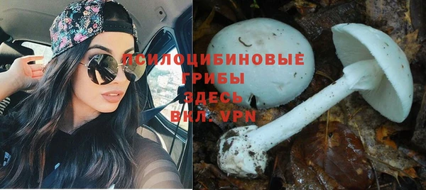 метадон Михайловка