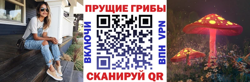 купить  сайты  Починок  Псилоцибиновые грибы MAGIC MUSHROOMS 